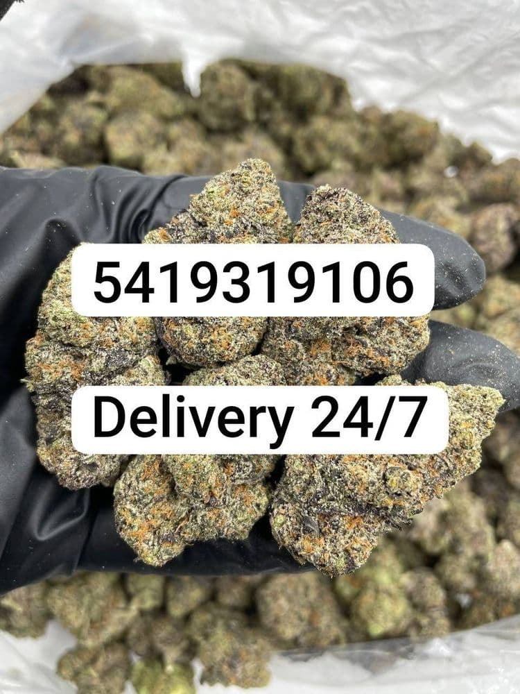 The Sanctuary Wellness Institute - hair transplant in Charleston, WV